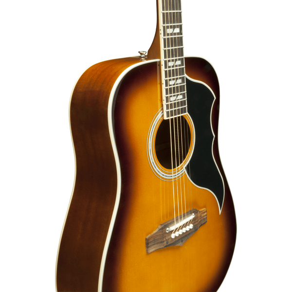 Eko Guitars Ranger VI VR Honey burst