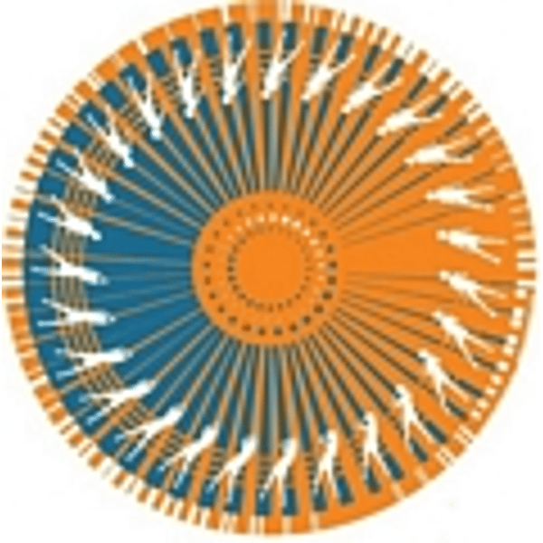 ZOMO 2x Slipmats Dance - arancione