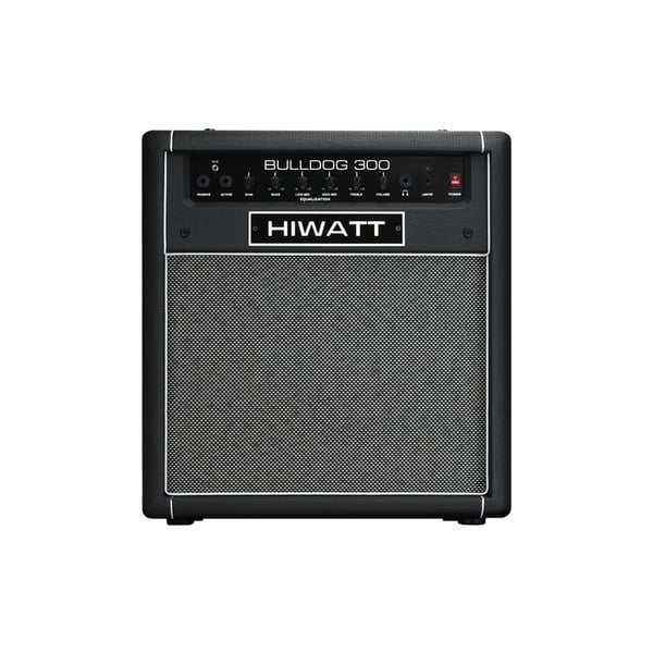 Hiwatt Bulldog 300 Combo per basso 1x15 300 W