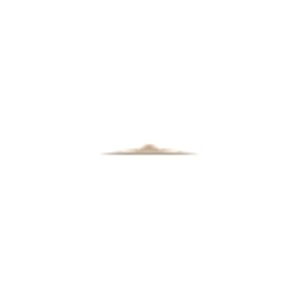 Zildjian A0124-14" A Mastersoundound HiHat - Top