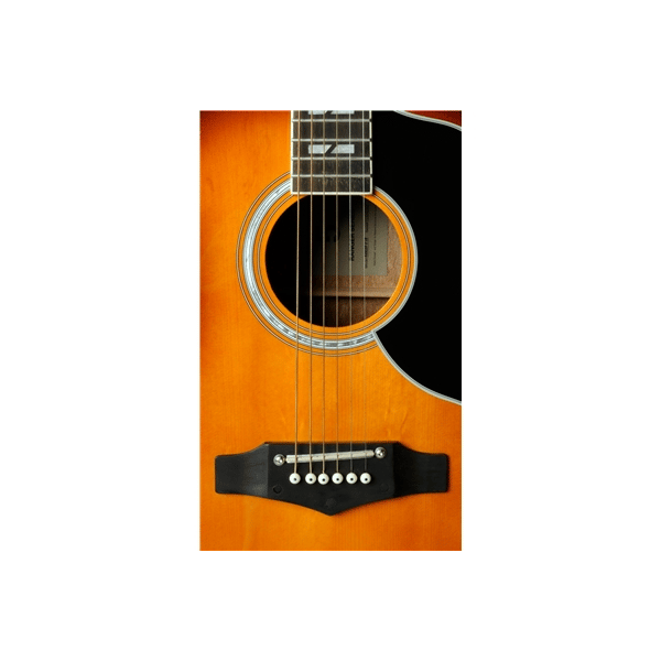 Eko Guitars Ranger VI VR Honey burst