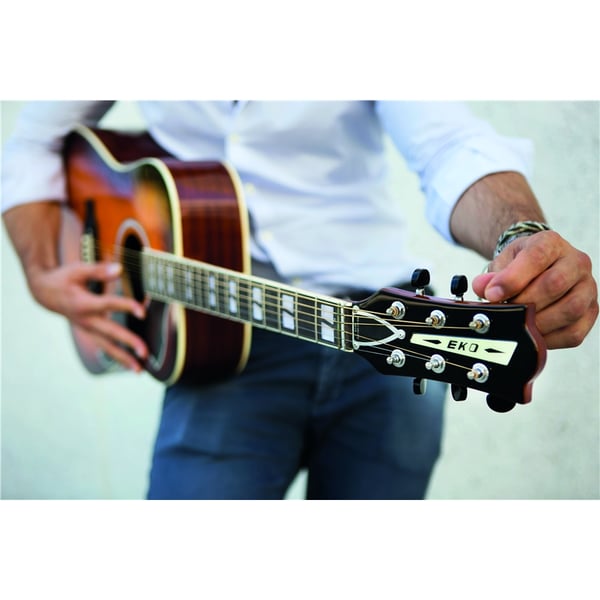 Eko Guitars Ranger VI VR Honey burst
