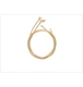 ico 2