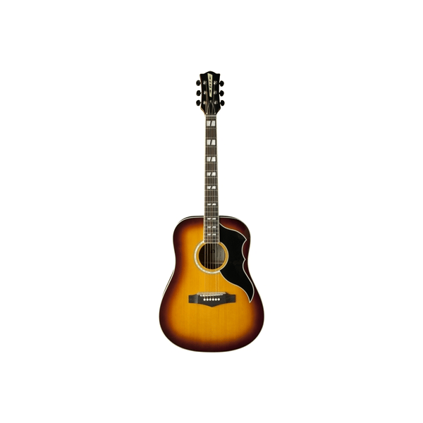 Eko Guitars Ranger VI VR Eq Honey burst