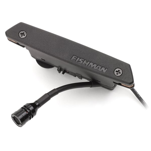 Fishman Rare Earth Soundhole Mic Blend Pickup