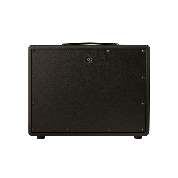 PRS Mark Tremonti Cabinet