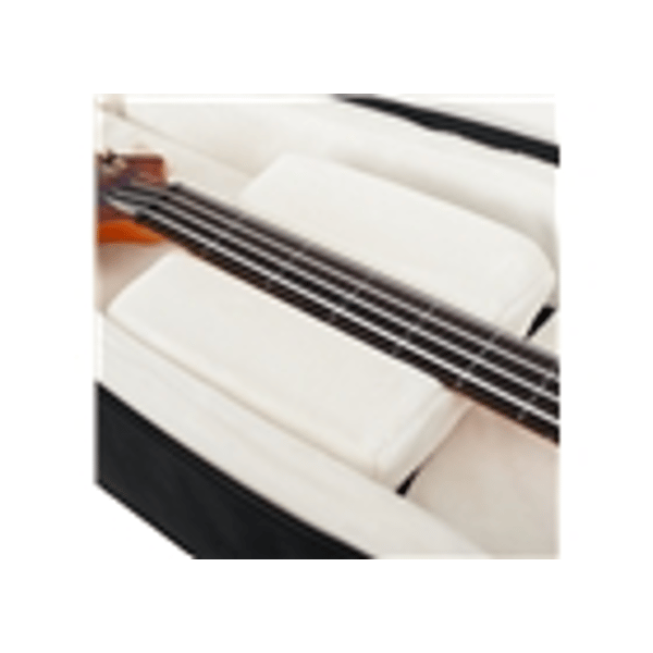 Gator Cases G-PG BASS 2X Borsa ProGo due bassi