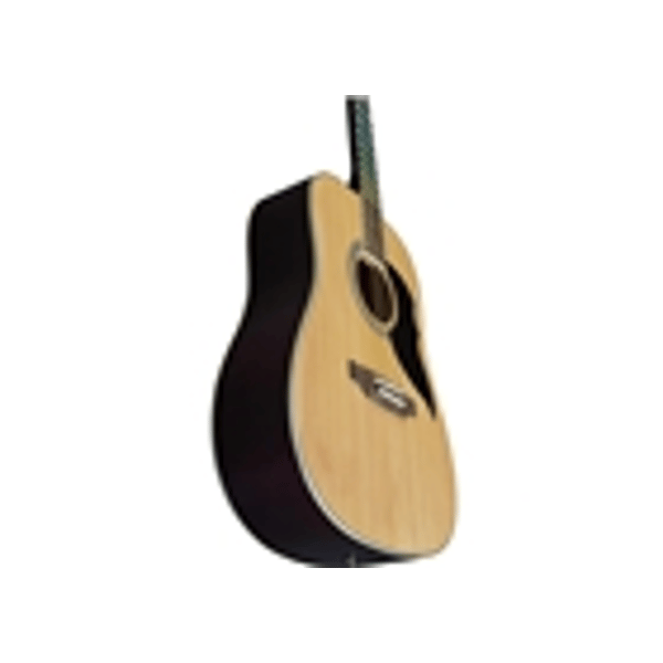 Eko Guitars Ranger Nat Visual Note