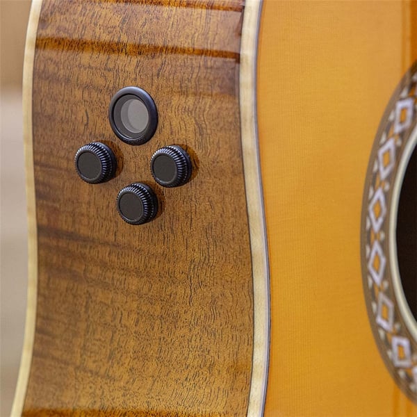 Eko Guitars Ranger Futura