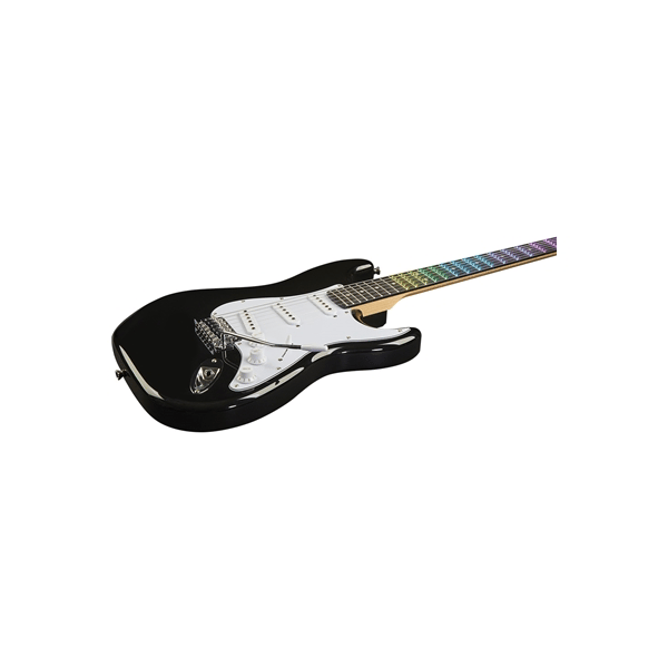 Eko Guitars S-300 Black Visual Note
