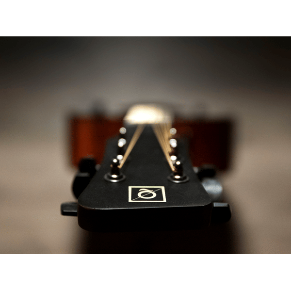 OQAN QGA-100CE SBG (PREAMP)