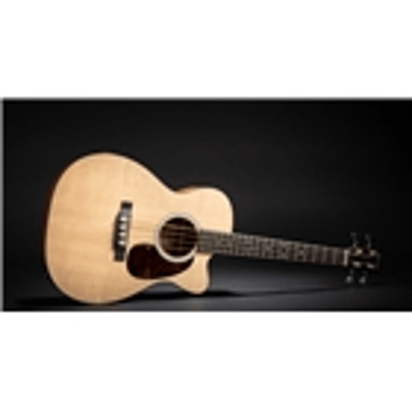 Martin & Co. D Jr-10E BASS