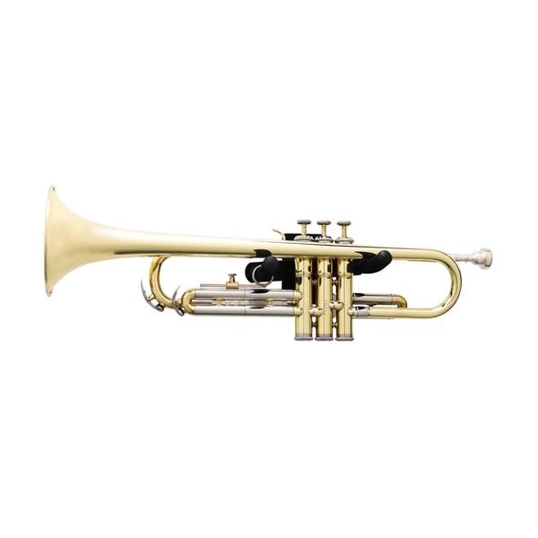 Gator Frameworks GFW-TRUMPETHNGR-BLK Gancio da parete per tromba