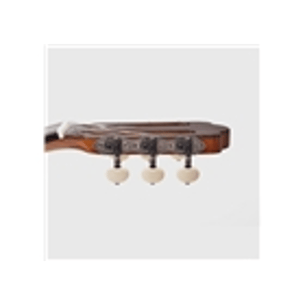 Esteve Torres Chitarra Classica