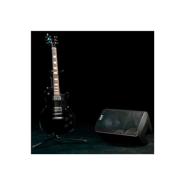 Alto Professional TX310
