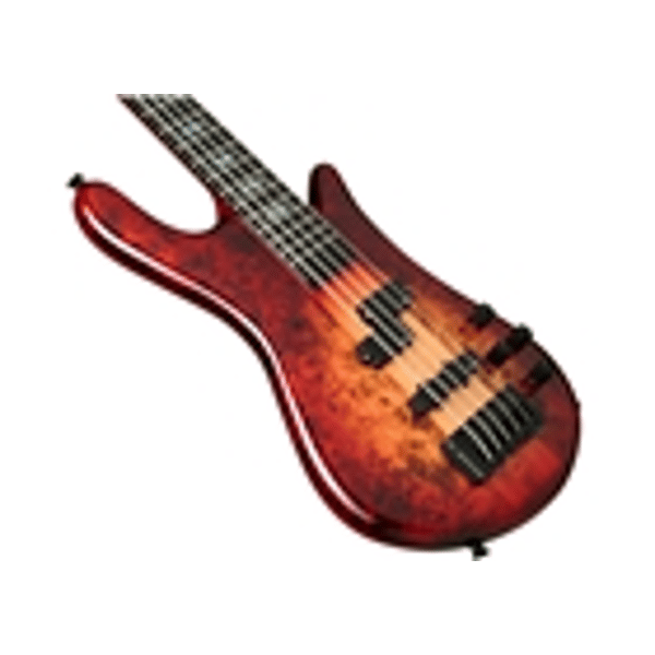 Spector Euro 5 CST - Nat Red Burst Gloss