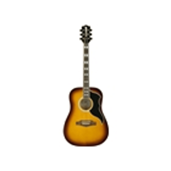 Eko Guitars Ranger VI VR Honey burst