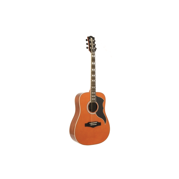 Eko Guitars Ranger VI VR Natural Top Stained