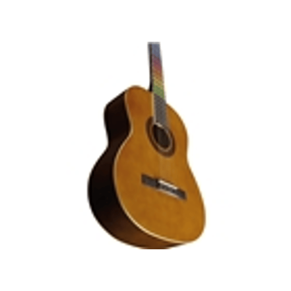 Eko Guitars CS-10 Visual Note