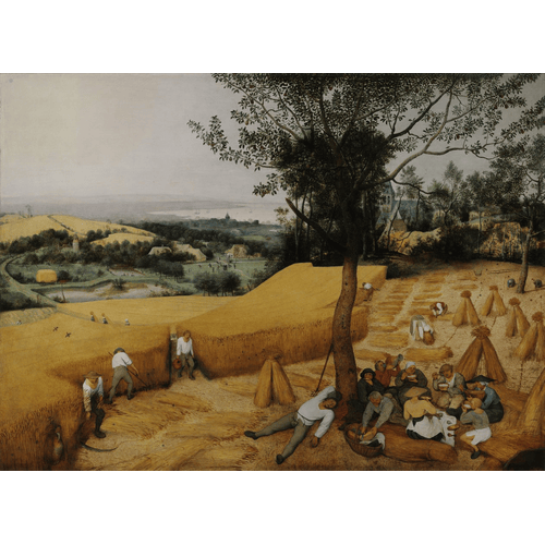 Pieter Bruegel the Elder I mietitori