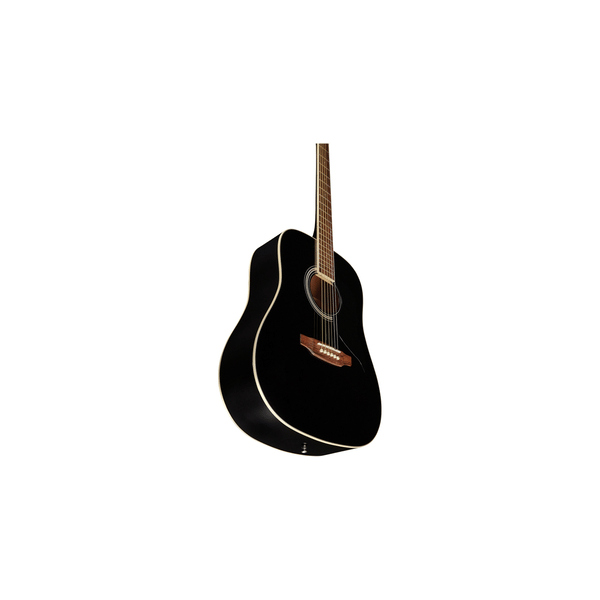 Eko Guitars Ranger 6 Black