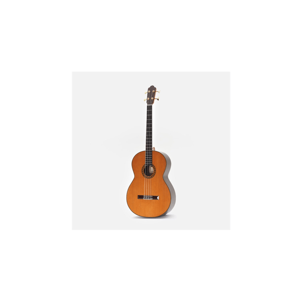 Esteve Octave Bass 4 Chitarra Contrabbasso