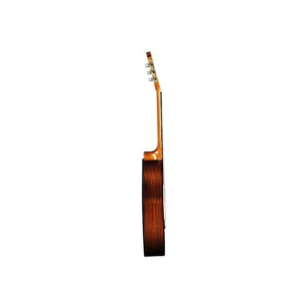 Eko Guitars CS-12