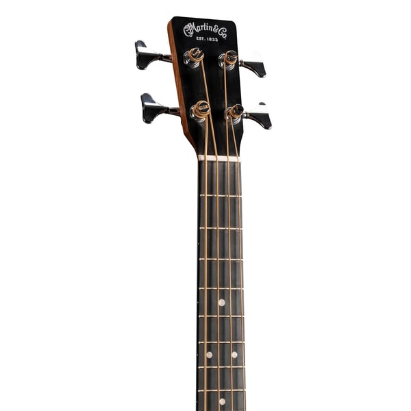Martin & Co. D Jr-10E BASS