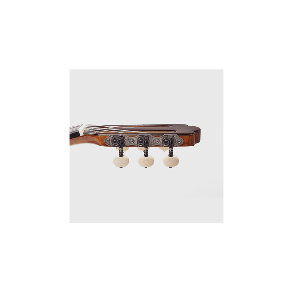 Esteve Torres Chitarra Classica