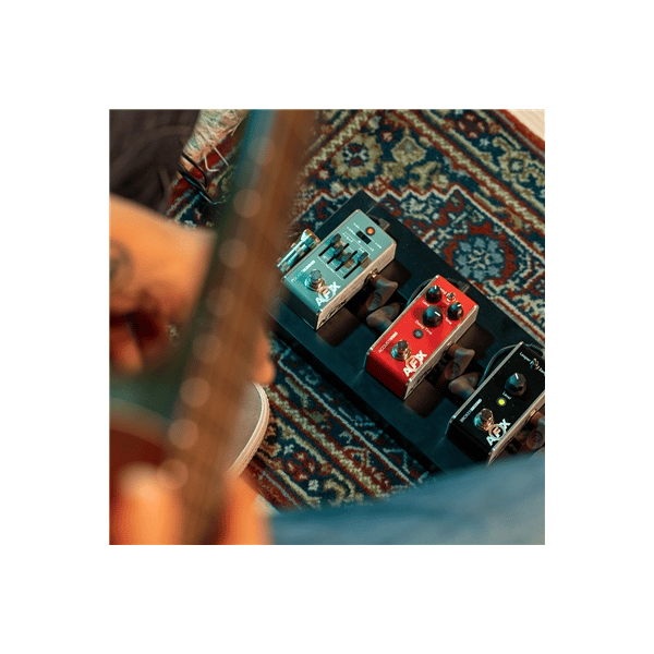 Fishman Broken Record Looper Mini PRO-AFX-LP2