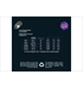 ico 2