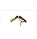 ico 2