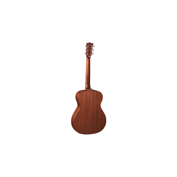 Eko Guitars Duo A200e