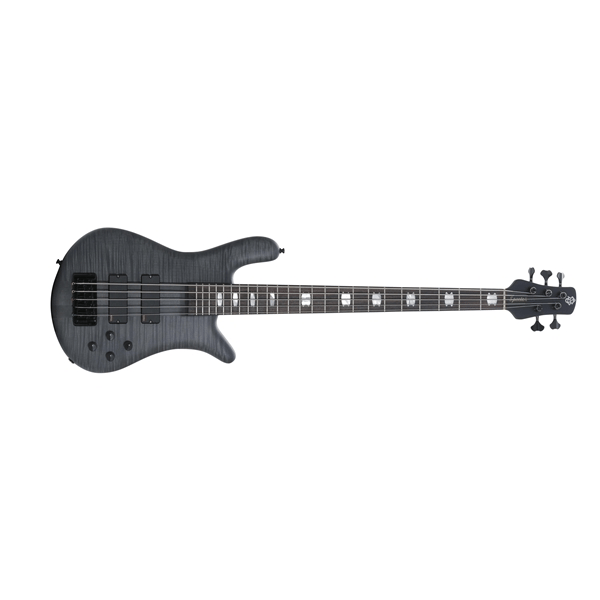 Spector Euro5 LX Trans Black Stain Matte