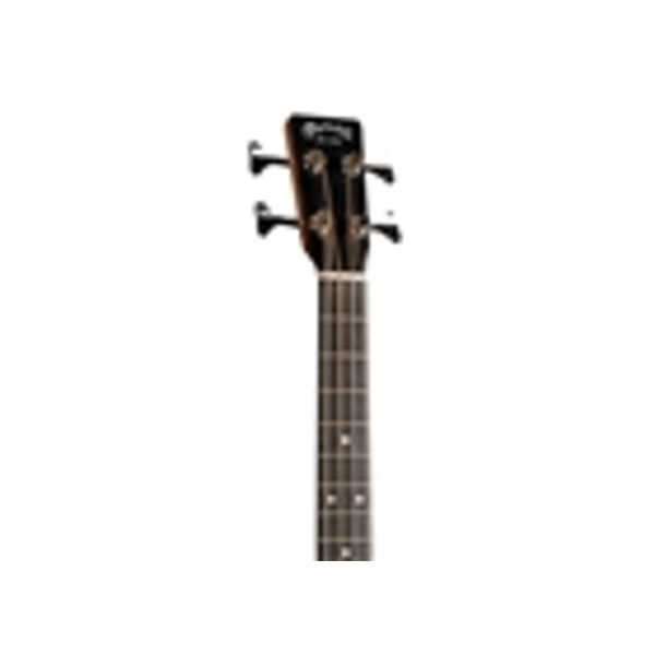 Martin & Co. D Jr-10E BASS