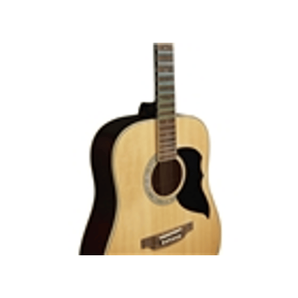 Eko Guitars Ranger Nat Visual Note