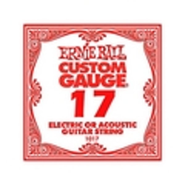 ERNIE BALL .017 Plain Steel - 6 packs