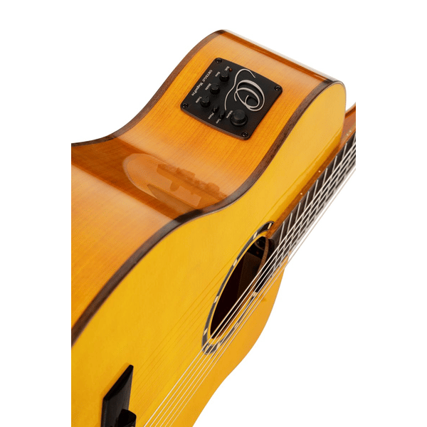 ORTEGA RCE170F
