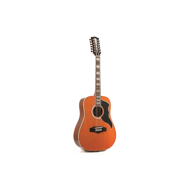 Eko Guitars Ranger XII VR Natural Top Stained