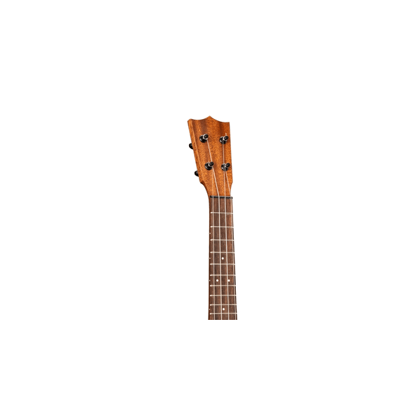 Martin &amp; Co. Centennial Concert Uke