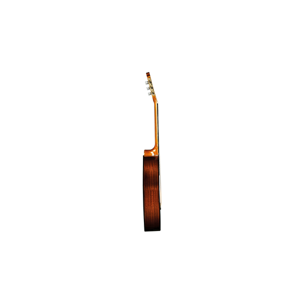 Eko Guitars CS-12