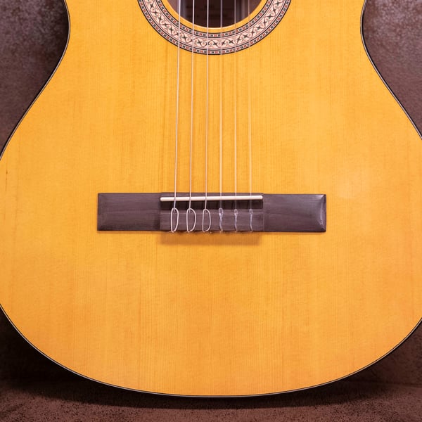 WALDEN WAN450W CHITARRA CLASSICA STANDARD 400