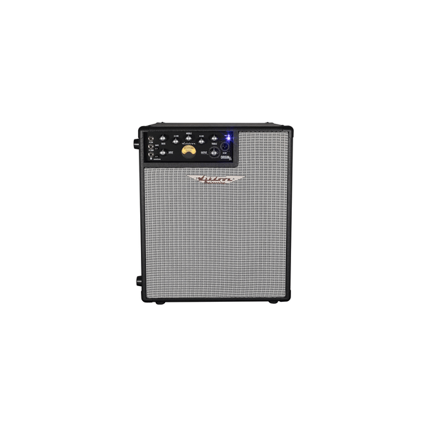Ashdown ORIGINAL EVO C112-300