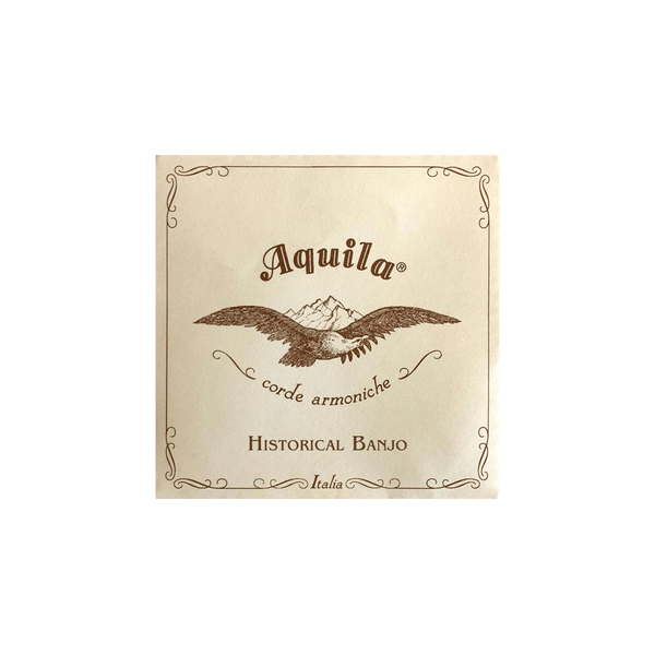Aquila 16B 5 string Banjo Synthetic Set