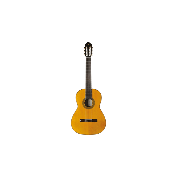 Eko Guitars EKO CHITARRA Vibra 300 Natural