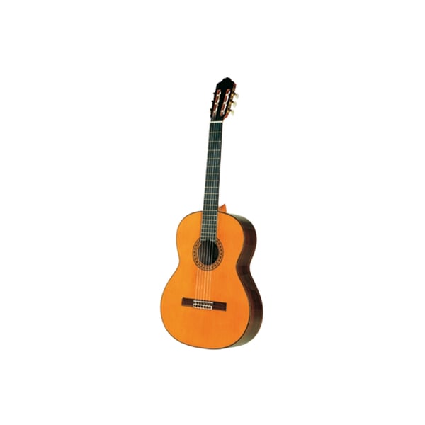 Esteve Mod.8 (Top Abete) Chitarra Classica