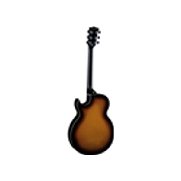 Eko Guitars SA 750