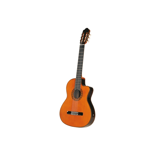 Esteve Elec Chitarra Classica Elettrificata
