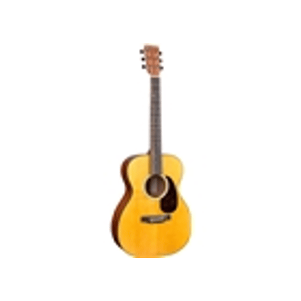 Martin & Co. 000Jr-10E Shawn Mendes