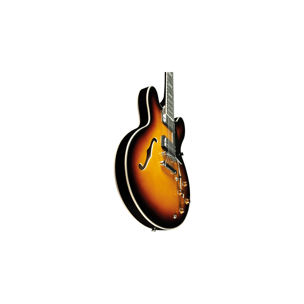 Eko Guitars SA 350